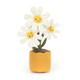 Amuseables Daisy - Caitly