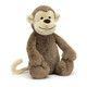 Bashful Monkey - Caitly