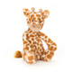 Bashful Giraffe - Caitly