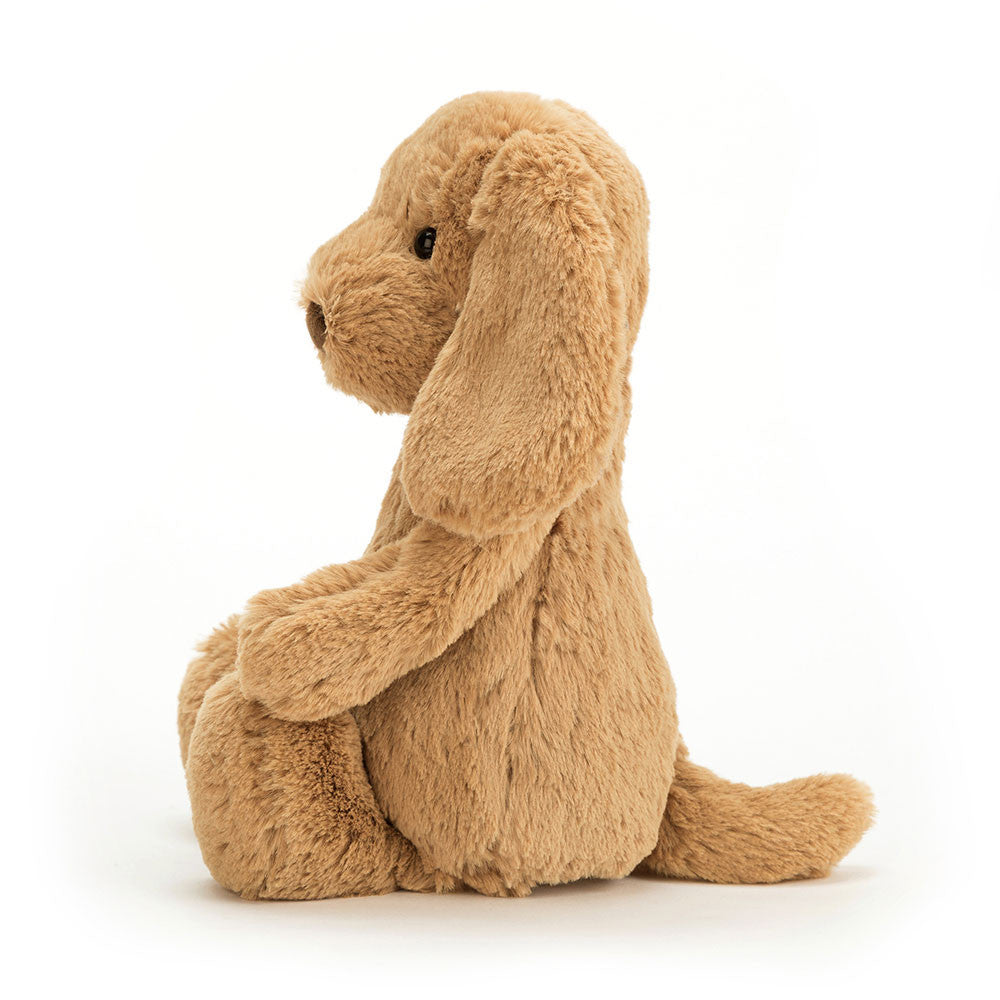 Bashful Toffee Puppy - Caitly