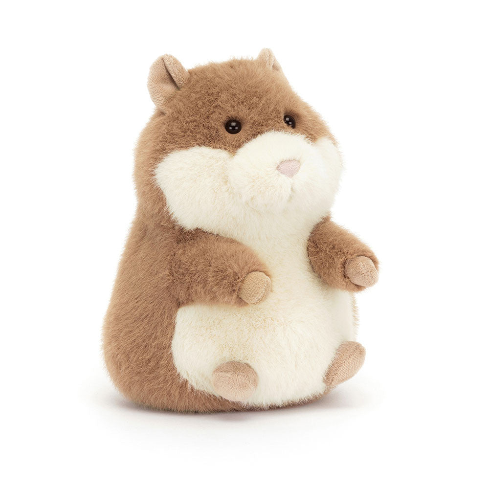 Gordy Guinea Pig - Caitly