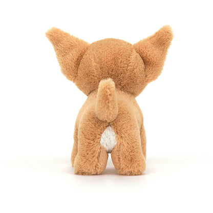 Isobel Chihuahua - Caitly