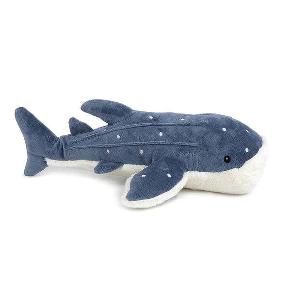 Mon Ami Echo the Whale - Caitly