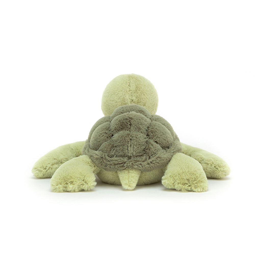 Tully Turtle - Caitly