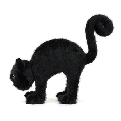 Spookipaws Cat