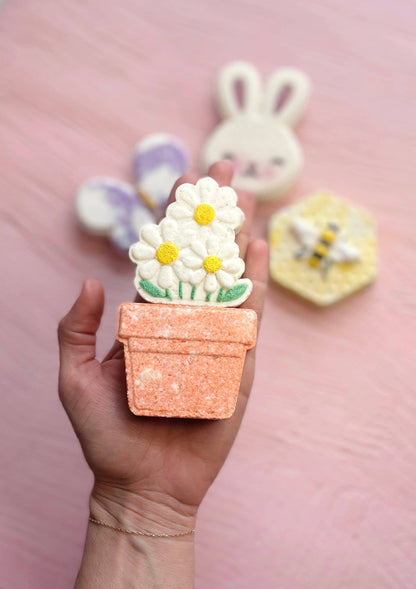 Pot of Daisies Bath Bomb - Caitly